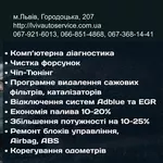 ЧІП Тюнінг,  видалення каталізаторів та сажових фільтрів у Львові