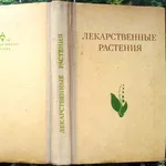 Гаммерман А.Ф. и др.  Лекарственные растения. Растения-целители.   Уче