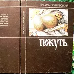 Скуратівський В.  Покуть.  Додаток до журналу «Хроніка - 2000. Наш кра