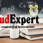 Купить бакалаврскую работу в Украине