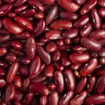  Сортова квасоля: Ліма,  Мавка,  Рубін,  Бандоля,  Неві,  Пінто та ін