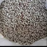 Закуповуємо квасолю по всій Україні із забезпеченням самовивозу.