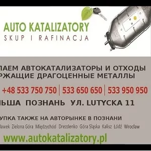 покупаем автокатализаторы