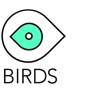 Видео продакшн студия BIRDS производство рекламных роликов