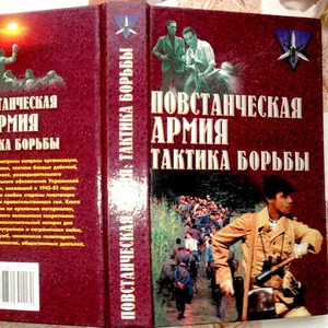 Повстанческая армия.  Тактика борьбы. Сергей Ткаченко. 