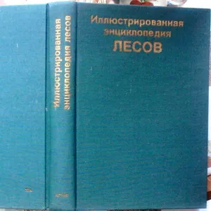 Еник Ян.   Иллюстрированная энциклопедия лесов. 