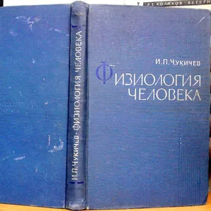 Физиология человека.  Иван Чукичев. 