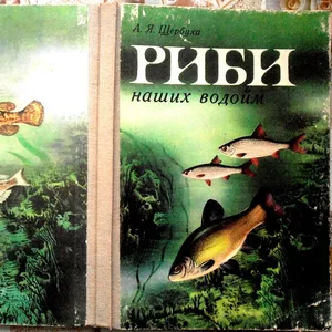 Щербуха А.  Риби наших водойм.  Київ Рад. школа 1987