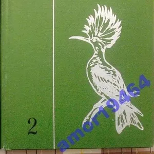 Определитель позвоночных животных фауны СССР . Часть. 2