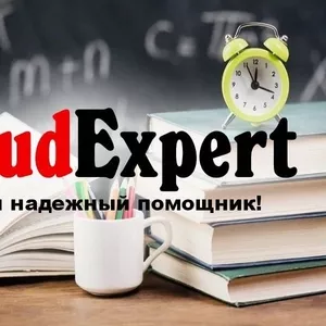 Купить бакалаврскую работу в Украине