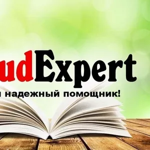 Купить магистерскую диссертацию в Украине