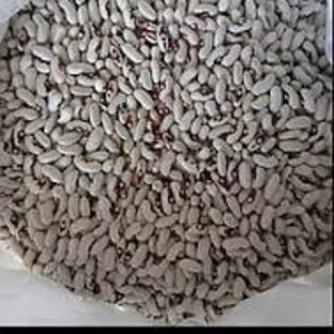 Закуповуємо квасолю по всій Україні із забезпеченням самовивозу.