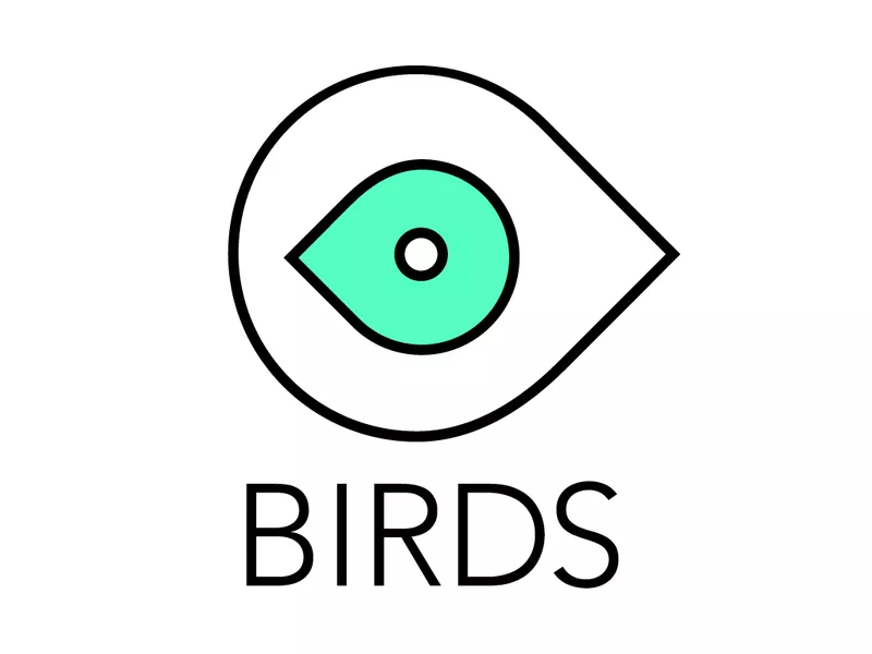 Видео продакшн студия BIRDS производство рекламных роликов