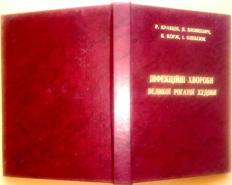 Інфекційні великої рогатої худоби..