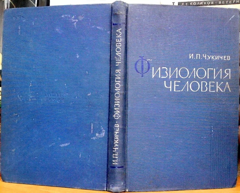 Физиология человека.  Иван Чукичев. 