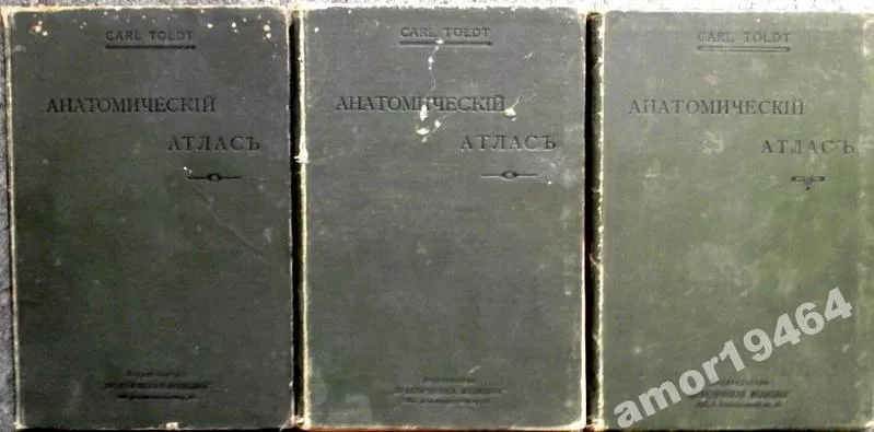 Анатомический атлас для студентов и врачей. Выпуск 4, 5 и 6.1913 г