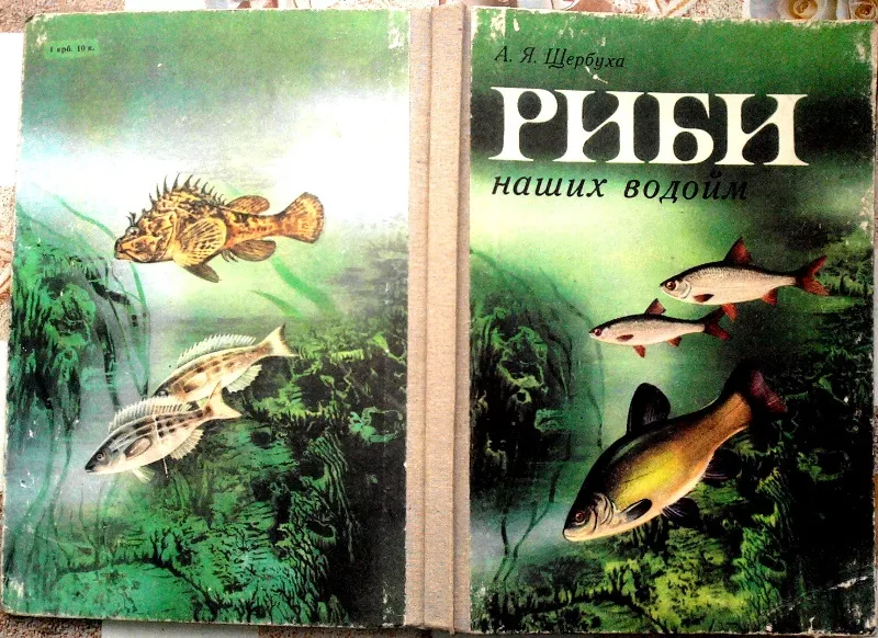 Щербуха А.  Риби наших водойм.  Київ Рад. школа 1987