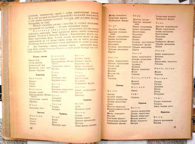 Липа Ю.  Ліки під ногами. Прижиттєве видання. Краків-Львів.1943 рік.  5