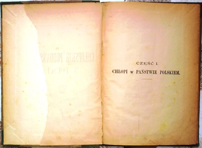 Chłopskie poddaństwo w Polsce. Wydawca: Lwów :1898- 85 s. 3