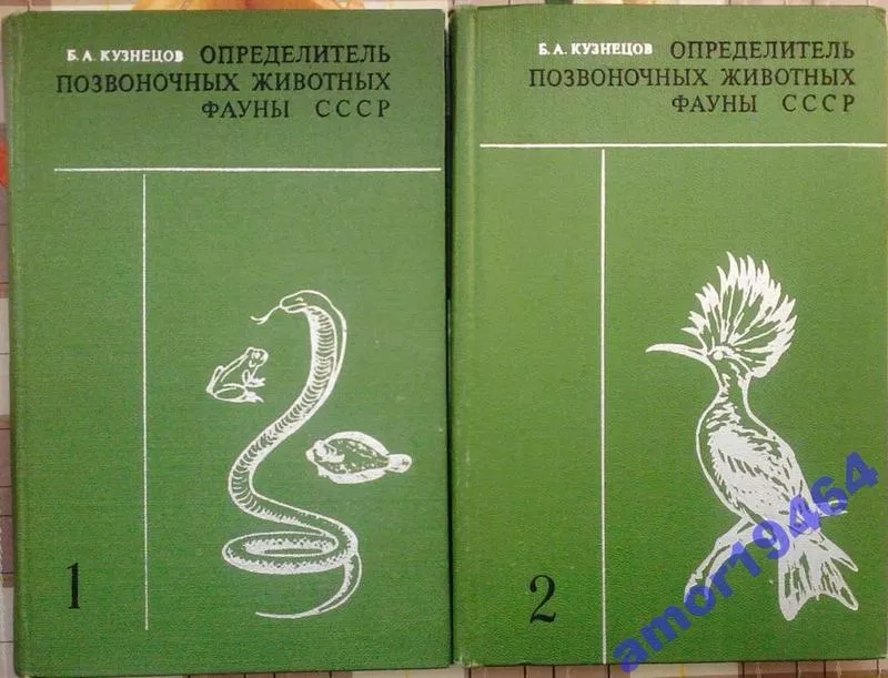 Определитель позвоночных животных фауны СССР . Борис Кузнецов. Часть.1