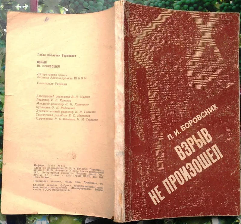 Боровских П.  Взрыв не произошел.  Лит. запись Л.Шапы.  Киев Политизда