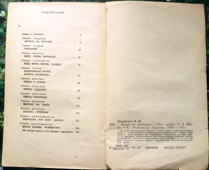 Боровских П.  Взрыв не произошел.  Лит. запись Л.Шапы.  Киев Политизда 2