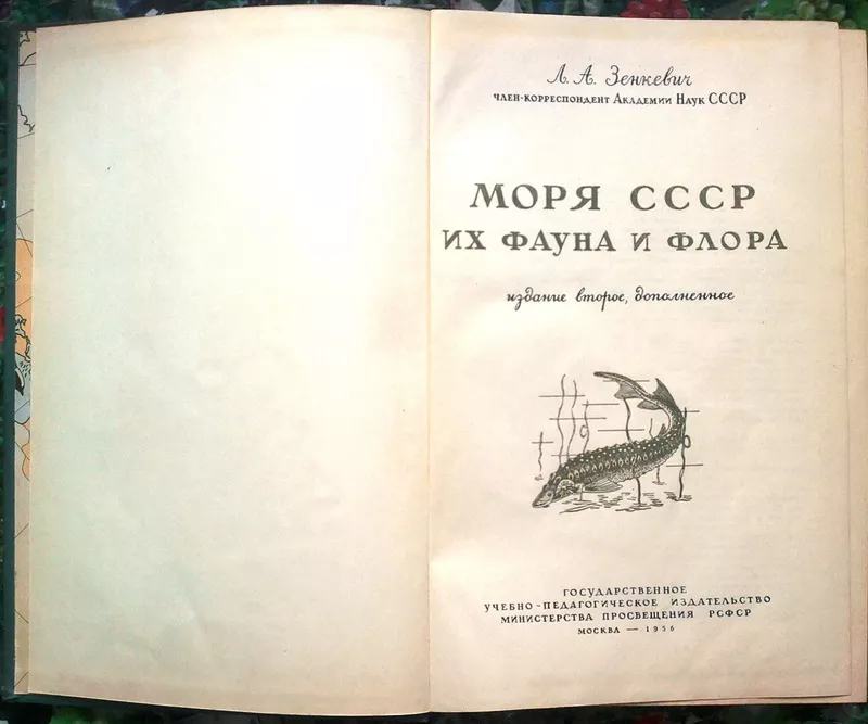 Зенкевич Л.А.  Моря СССР,  их фауна и флора.  М. Учпедгиз 1956г. 424с.+ 2