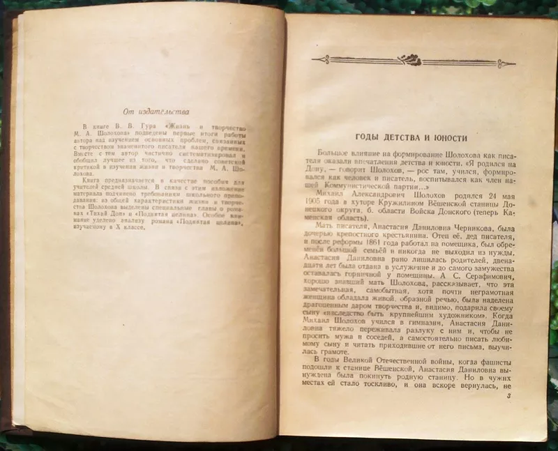 Гура В.В.  Жизнь и творчество М.А. Шолохова  Пособие для учителя.  М.  3