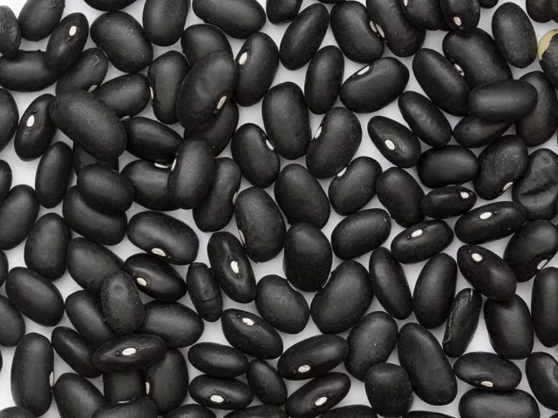 Купити квасолю. Квасоля в наявності. Продаж квасолі.