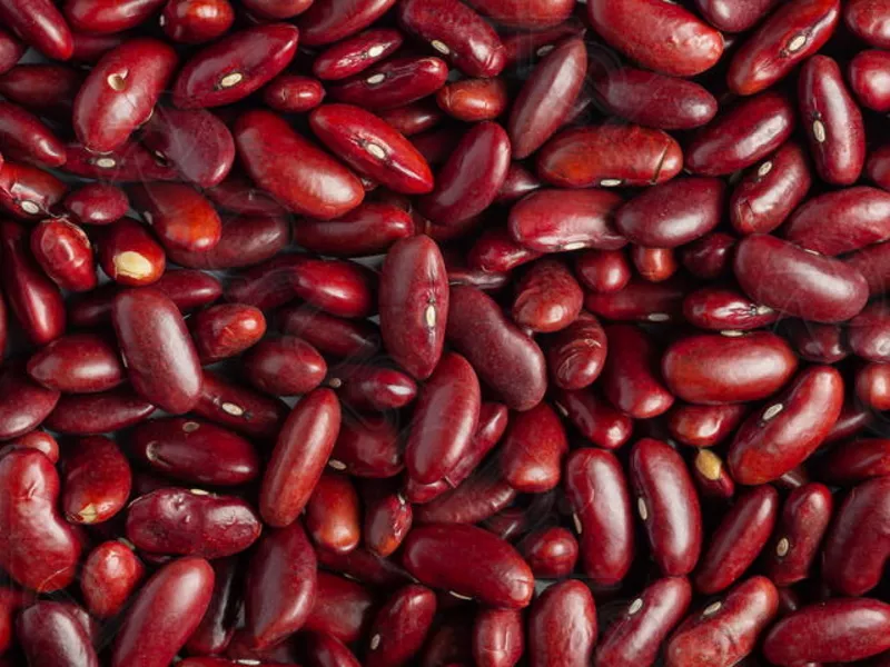  Сортова квасоля: Ліма,  Мавка,  Рубін,  Бандоля,  Неві,  Пінто та ін